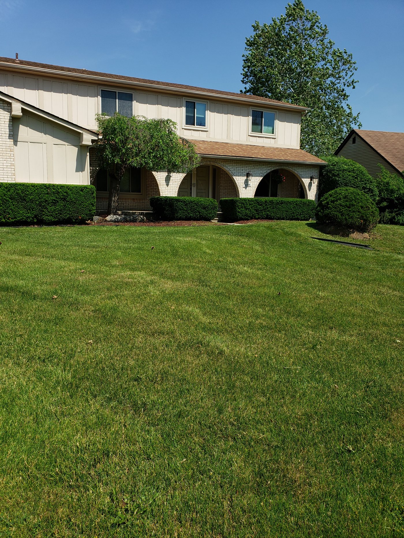 Residential shrubs after clean trimming